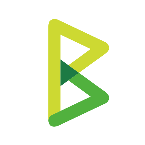 btcpayserver logo